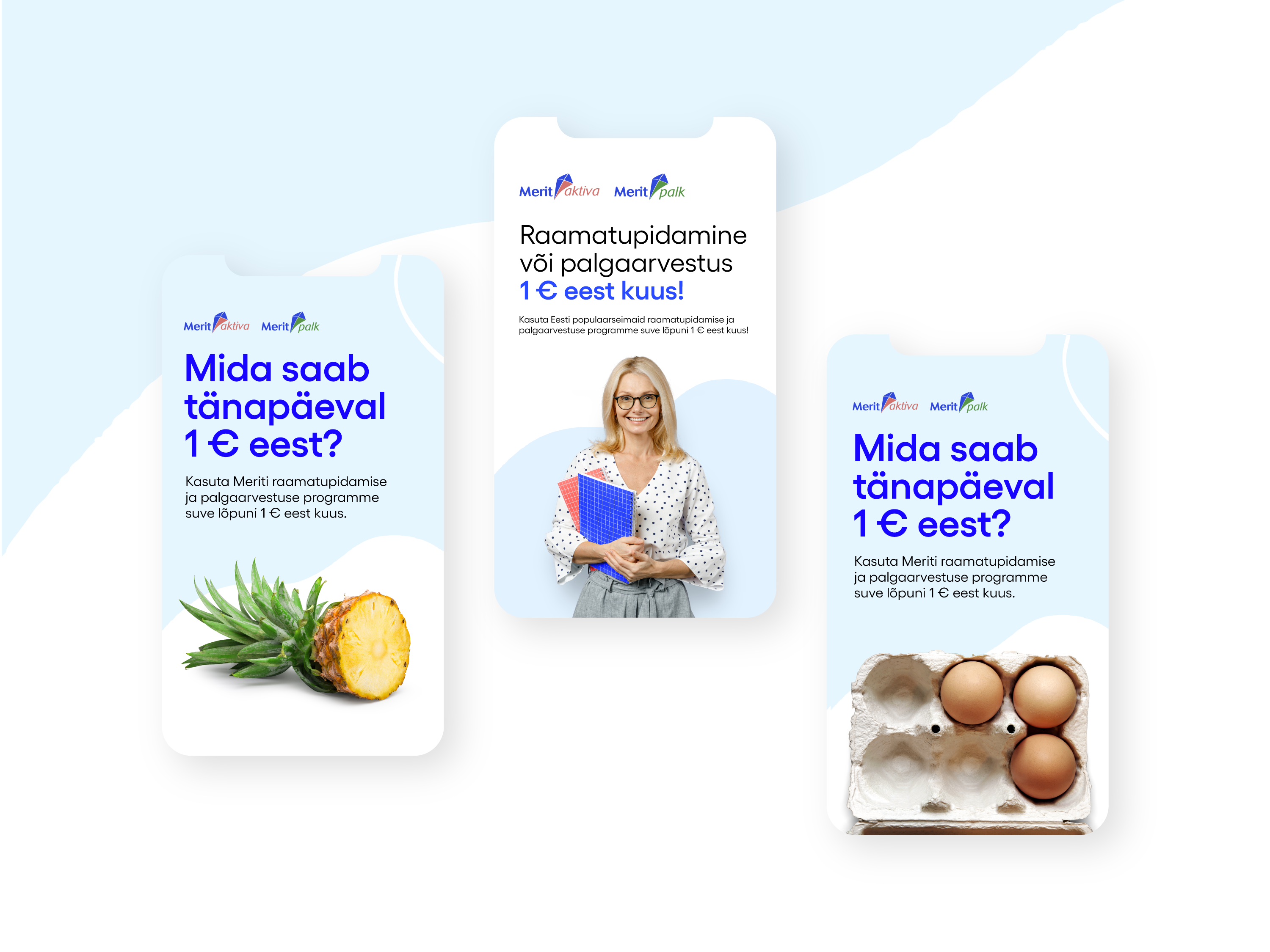 digital marketing campaign for accounting software - VIVID - digital marketing agency in Estoniaa